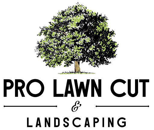 Pro Lawn Cut & Landscaping